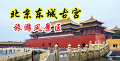 美女露逼揉奶用假鸡鸡操自慰中国北京-东城古宫旅游风景区